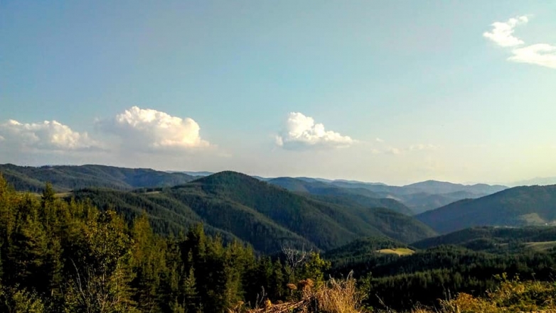 При сърцето на Орцево