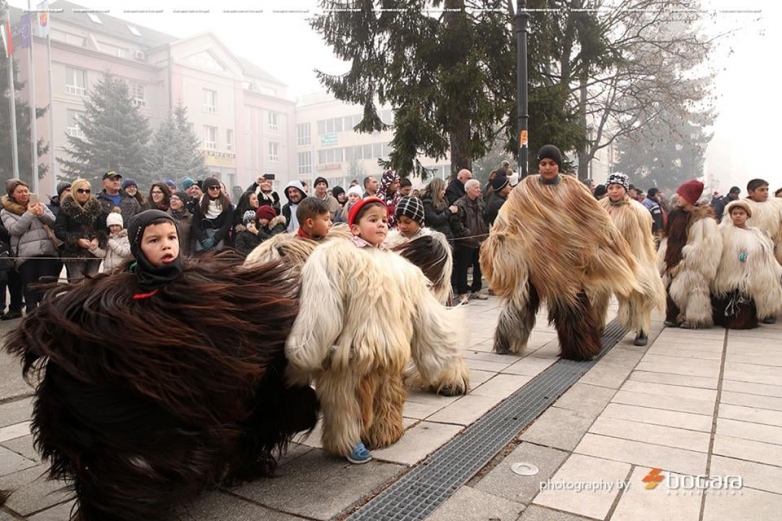 Без Старчевата